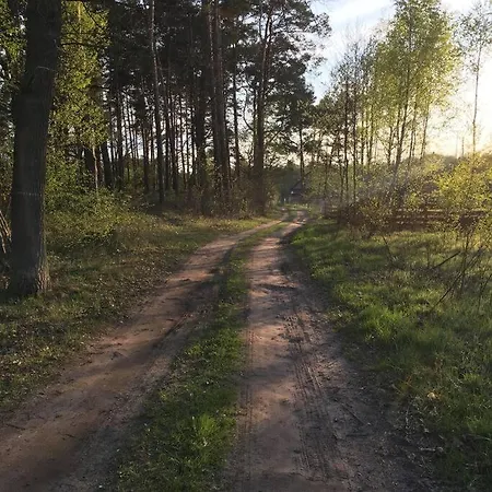Komfortowy Dom W Lesie Miedzichowo Eksteriør bilde