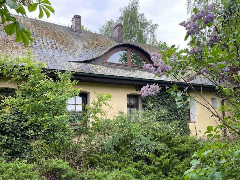 Komfortowy Dom W Lesie